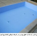 پروژه آب نما، شرکت ابوظبی للمشاریع شیراز