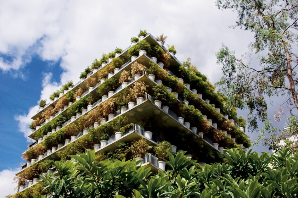 تاثیر پوشش گیاهی در کاهش مصرف انرژی ساختمان ها